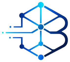 Baney Networks logo